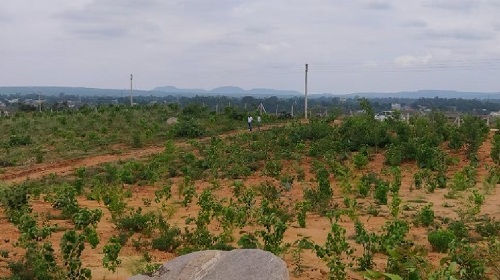 chhattisgarh