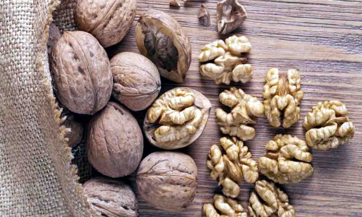 अखरोट खाने से मिलेगा इन बीमारियों से छुटकारा