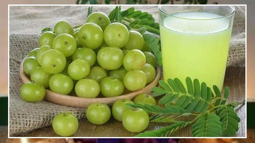 Gooseberry : आंवले का फ्रेश जूस दूर करेगा कब्ज, इस तरह से करे सेवन