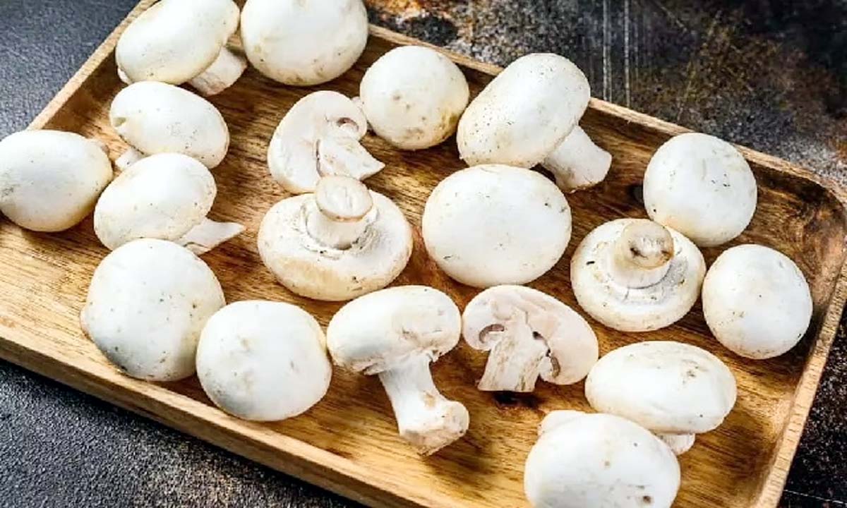 Benefits of Mushroom : मशरूम में सेहत के लिए बड़े फायदे