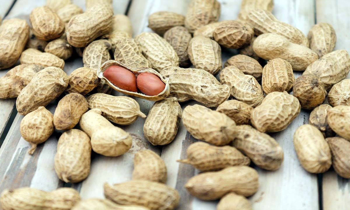 peanut benefits : सर्दियों में खाये मूंगफली जाने फायदे