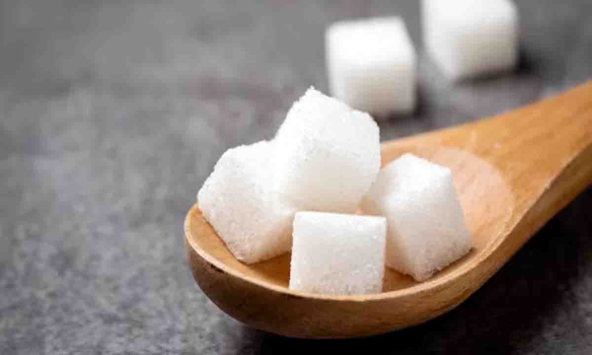 शरीर के लिए हानिकारक है चीनी या नमक यहाँ जानिए