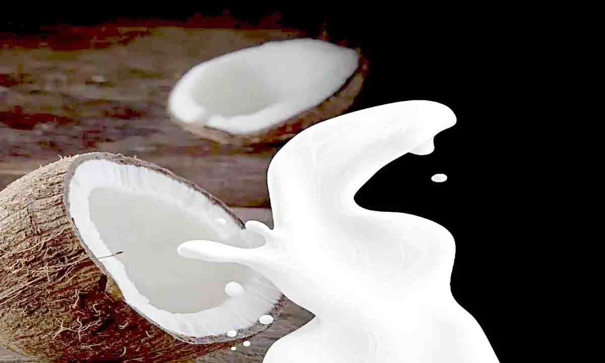 बढ़ाना चाहते हैं वजन तो रोज पिए नारियल का दूध