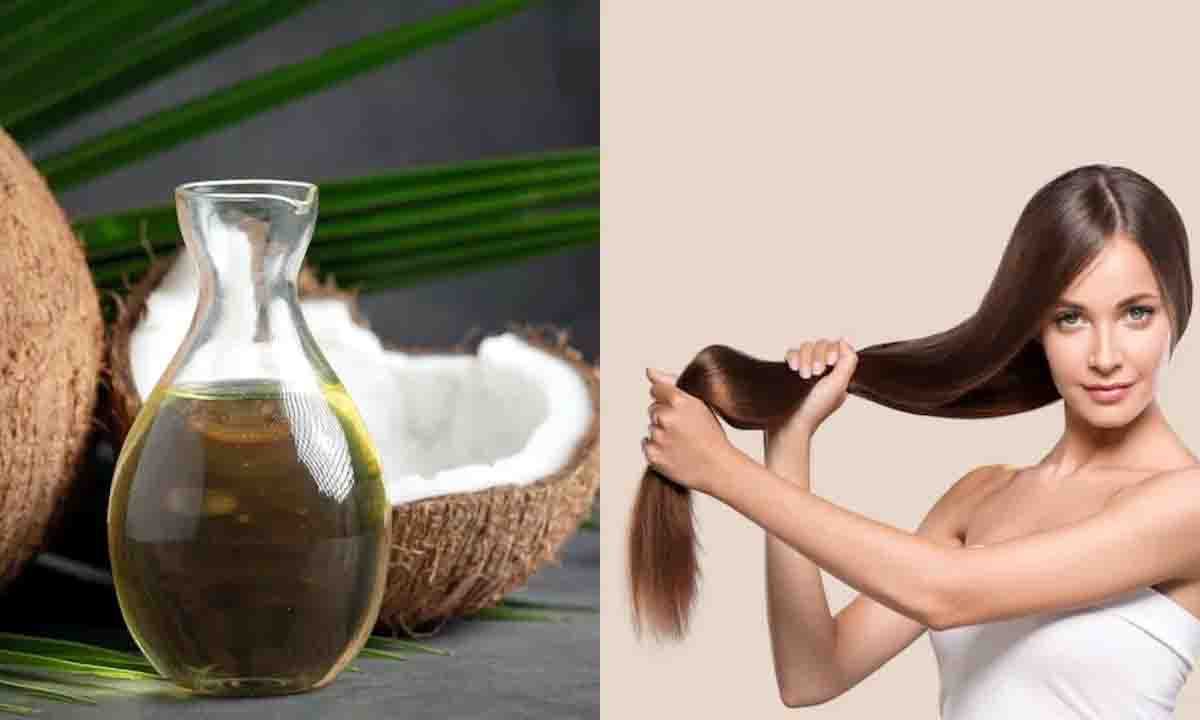 छुटकारा पाना है सफेद बालों से नारियल तेल में मिलाएं ये 3 चीजें