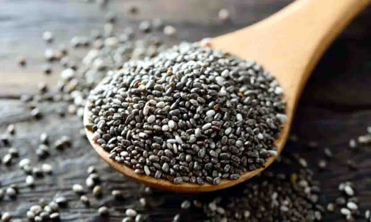 चिया सीड्स का सेवन करने से मिलेंगे गजब के फायदे
