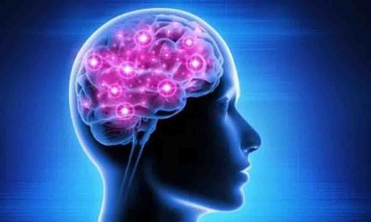 ब्रेन में विज़ुअल कार्यों को मैप करने के लिए होगा एआई का उपयोग