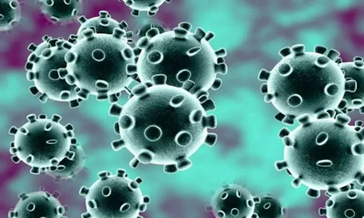 New antibody फ्लू वायरस के कई रूपों से लड़ने में मदद करेगी