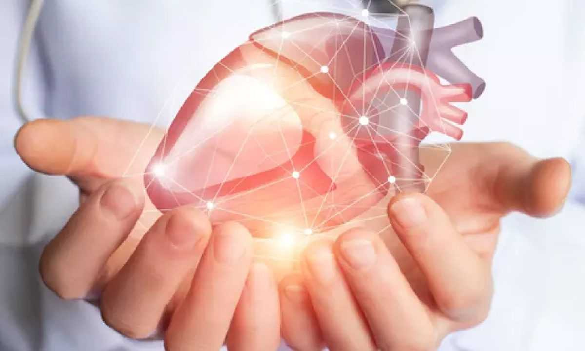 सर्दियों के दौरान हृदय स्वास्थ्य के प्रति सचेत रहना महत्वपूर्ण