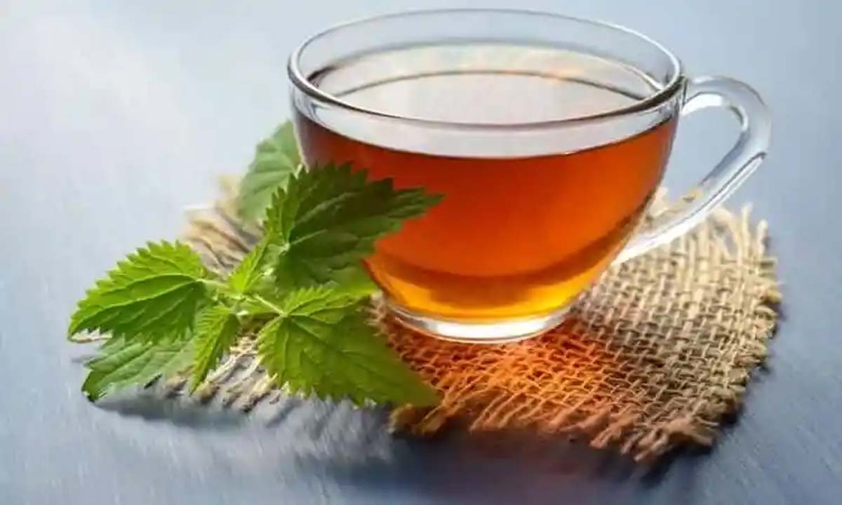 BLACK tea benefits: ब्लैक टी पीने के क्या है फायदे, जाने