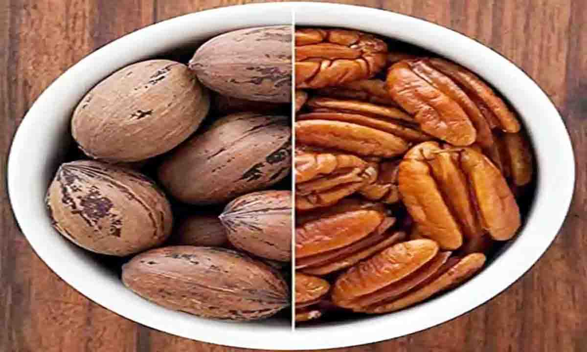 health tips : शरीर में एनर्जी के लिए खाएं पेकन नट्स