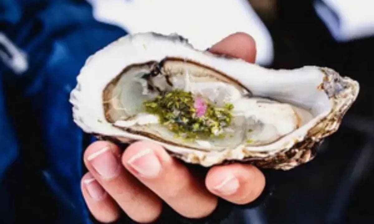 LA स्वास्थ्य विभाग कच्ची सीपों से जुड़ी बीमारियों की जांच करेगा